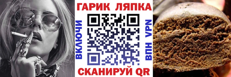 kraken как войти  Костомукша  ГАШИШ Изолятор  что такое наркотик 