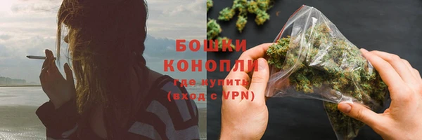 прущие грибы Абдулино
