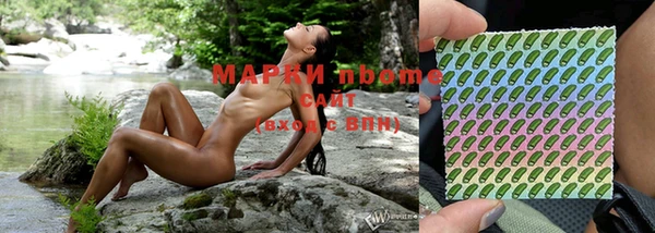 прущие грибы Абдулино