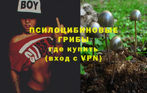 хмурый Абинск