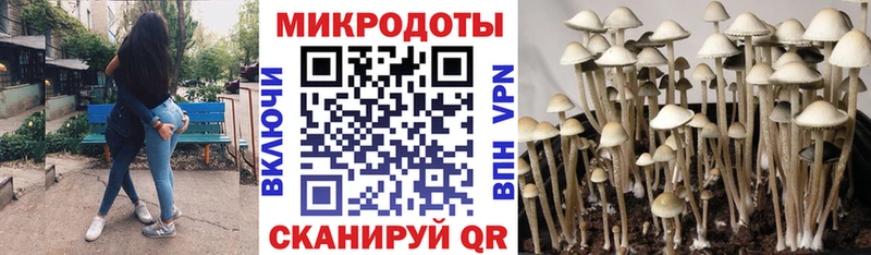 купить   Костомукша  hydra ссылки  Галлюциногенные грибы Psilocybine cubensis 