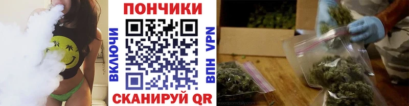 купить наркоту  Костомукша  Каннабис семена 